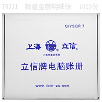 立信 数量金额明细账 TR221