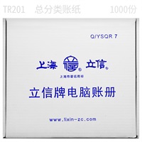 立信 总分类账 TR201